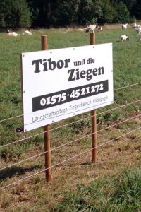 Schild Tibor Und Die Ziegen